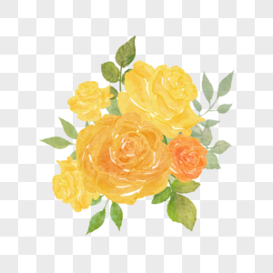 水彩晕染玫瑰花卉黄色图片