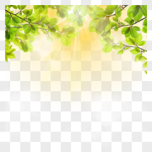 热带树叶光效夏季边框图片