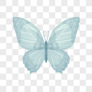 水彩风蓝色蝴蝶插图图片