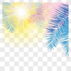 阳光照射下的彩色棕榈叶边框图片