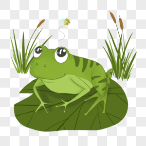 夏季卡通可爱动物绿青蛙图片