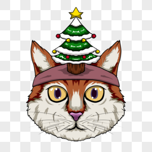 头戴圣诞树帽子的可爱猫咪肖像图片