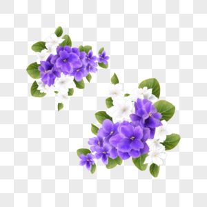 紫罗兰水彩花簇剪贴画图片