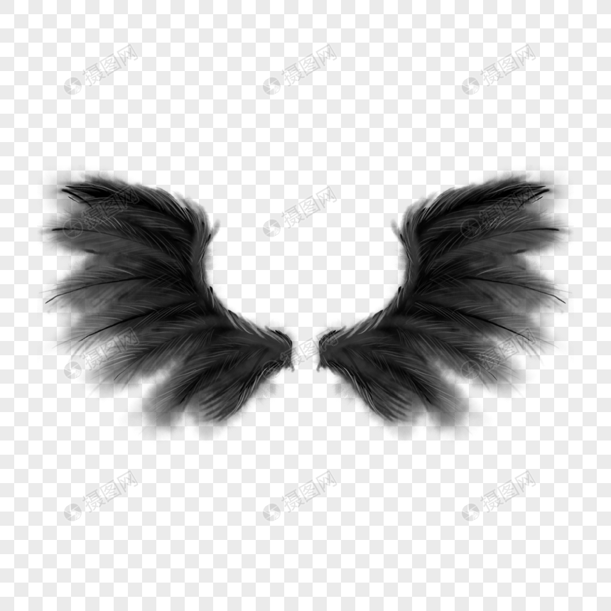 黑色天使恶魔魔鬼羽毛翅膀图片