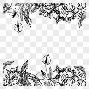 黑色花卉线稿叶子边框图片