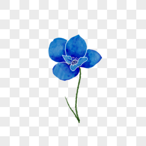 蓝色的小花图片