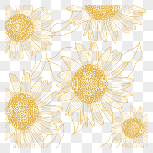 金色线稿花卉植物雏菊图片