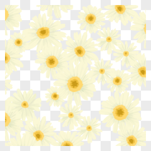 雏菊花朵组合图片