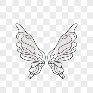 彩绘白色蝴蝶翅膀图片