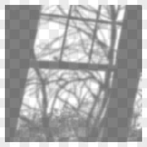 黑白凌乱的树枝窗口叠加阴影图片