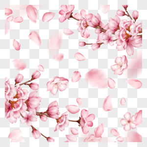 春季光效粉色樱花花瓣飘落边框图片