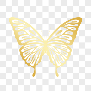 金色镂空花边线稿蝴蝶图片