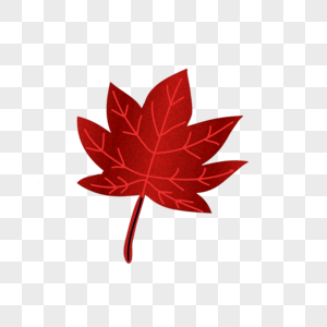 加拿大枫叶红色叶子高清图片