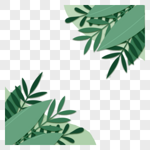绿色树叶棕榈树叶子边框图片