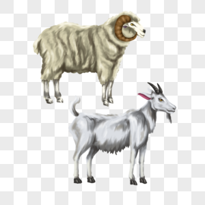 山羊和绵羊矢量素材图片