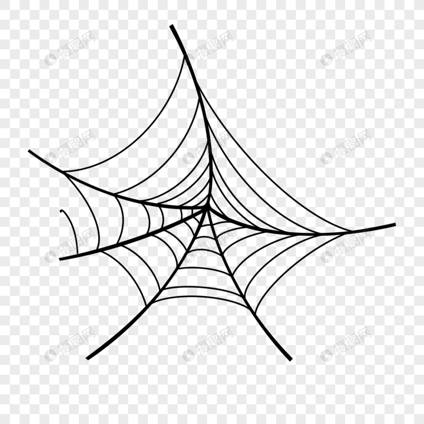 圆形蜘蛛网图片