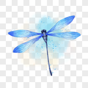蓝色蜻蜓昆虫水彩图片