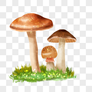 水彩童话蘑菇植物三朵食用蘑菇图片