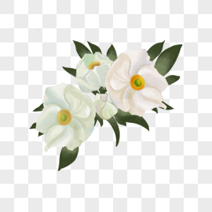水彩婚礼花卉银莲花白色图片
