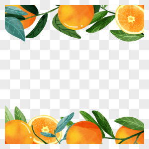橙子水果水彩橙色边框图片