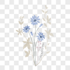 小雏菊花束水彩婚礼蓝色图片