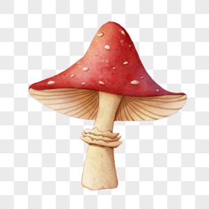 水彩红色毒蘑菇图片