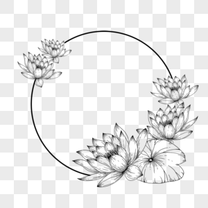 圆形盛开的线条线稿荷花花卉边框图片