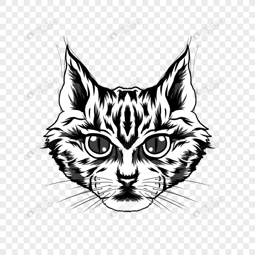 单色调猫咪纹肖像纹身图片