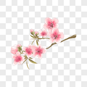 粉色水彩桃花枝花卉图片
