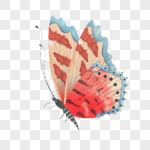 飞翔的复古水彩蝴蝶侧面彩色元素图片