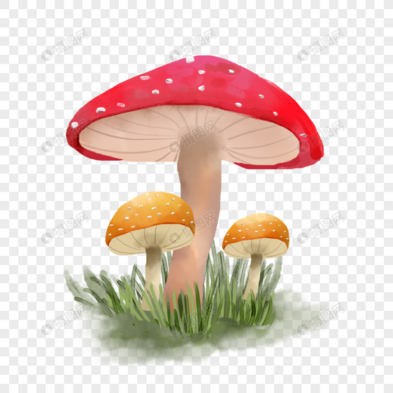 水彩野生菌类蘑菇图片