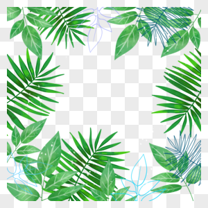 夏季绿色热带水彩植物边框图片