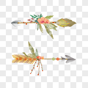奇异美丽羽毛波西米亚风箭头花卉图片