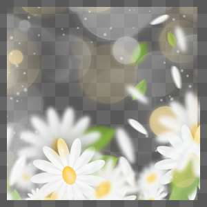 闪光白色花朵春天光效花卉边框图片