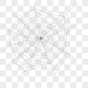 蜘蛛网蜘蛛细丝线条图片