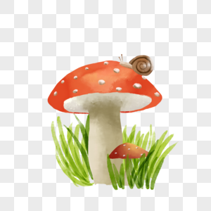 水彩草地蘑菇蜗牛图片