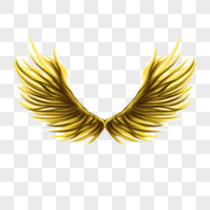 羽毛展翼金色的翅膀图片