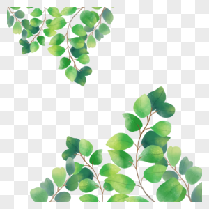 鲜艳绿色植物水彩尤加利叶边框图片