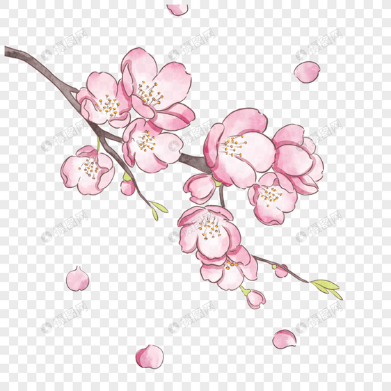 美好春天粉色樱花图片