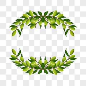 可爱绿色叶子奥运会橄榄枝花卉边框卡通橄榄枝高清图片素材