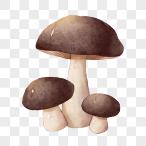 水彩棕色蘑菇图片