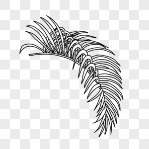 一片热带植物线条植物叶子图片