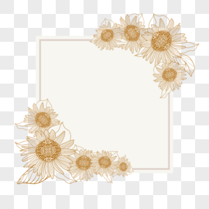 金色花朵线稿花卉边框图片