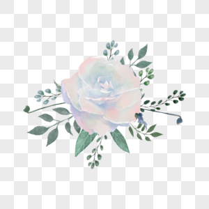 白玫瑰水彩晕染花卉图片