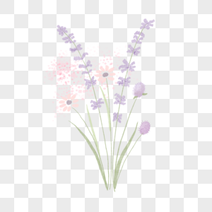 小雏菊花束水彩婚礼紫色粉红色图片