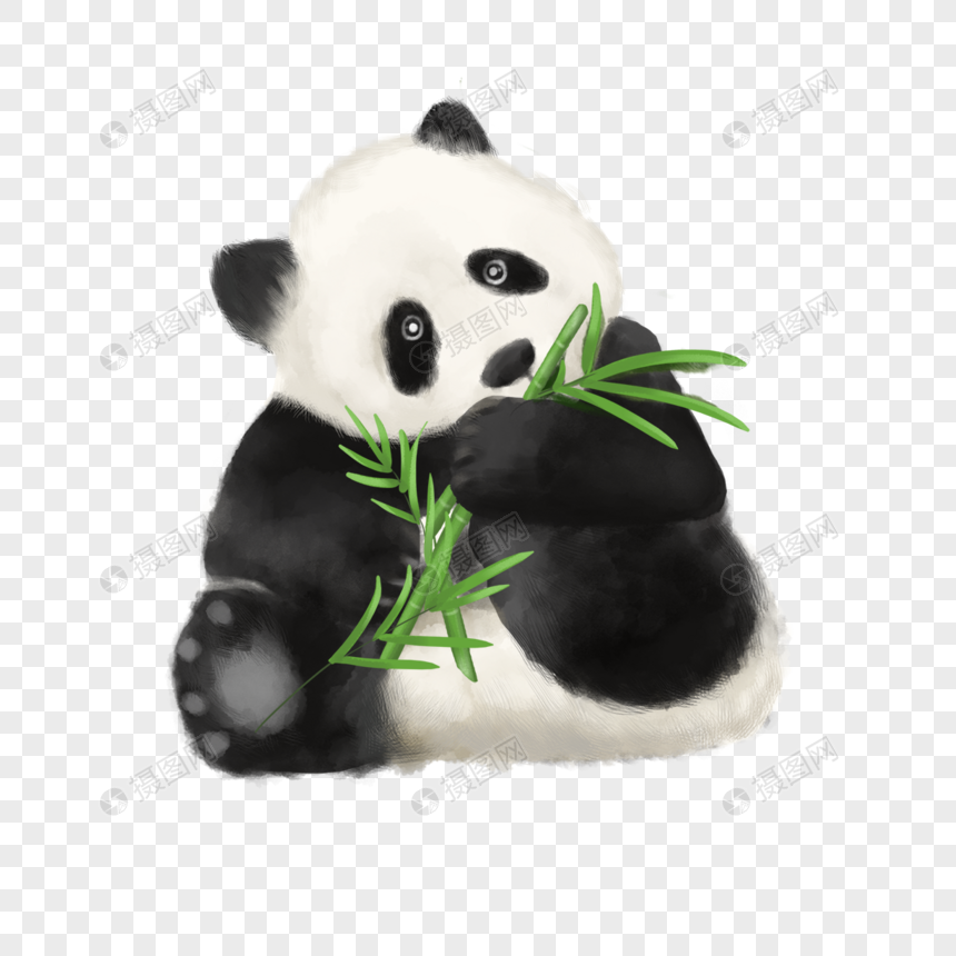 水彩熊猫黑白颜色图片