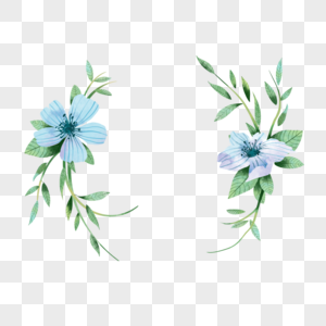 蓝色手绘花卉标题框图片