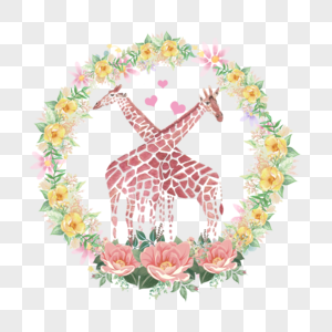 动物情侣长颈鹿黄色花环图片