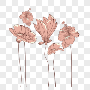 花卉植物抽象线稿高清图片