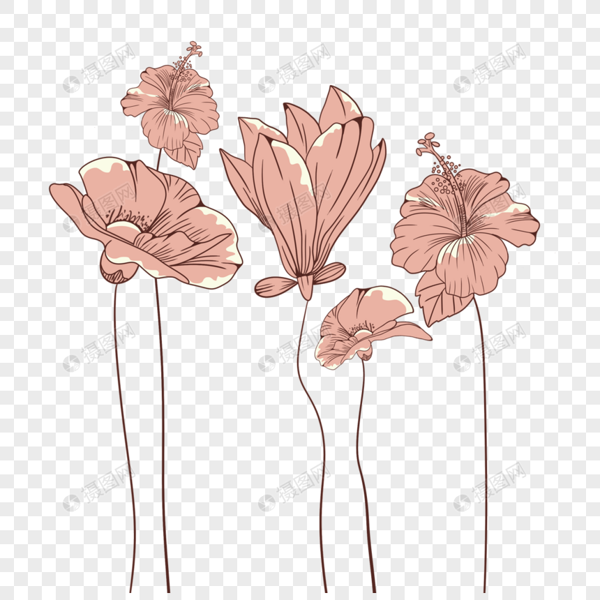花卉植物抽象线稿图片